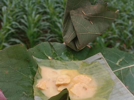 Lodeh  Tempe Kendil: Warisan Kuliner Desa Jambu  